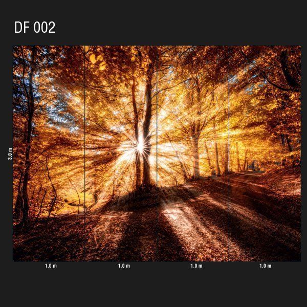 Обои DF-002 Loymina Illusion