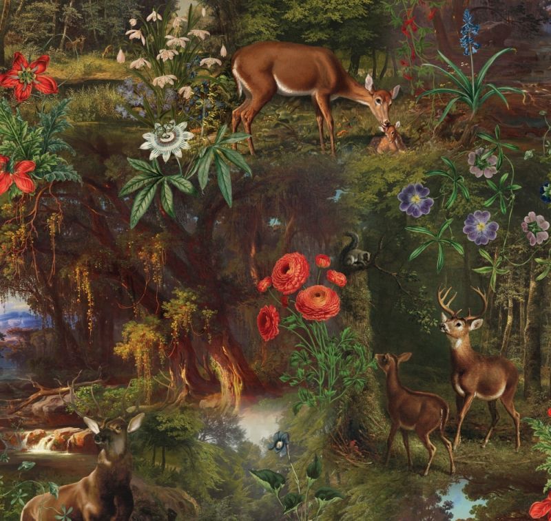 Флизелиновые фотообои Loymina Королева (Прекрасная Дама) FL9 011