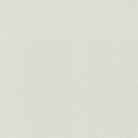 Виниловые обои на флизелиновой основе Rasch Gentle Elegance 1.06x10.05 арт.980325