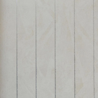 Флизелиновые обои Bruno Zoff Silver 1.06x10 арт.60113-3