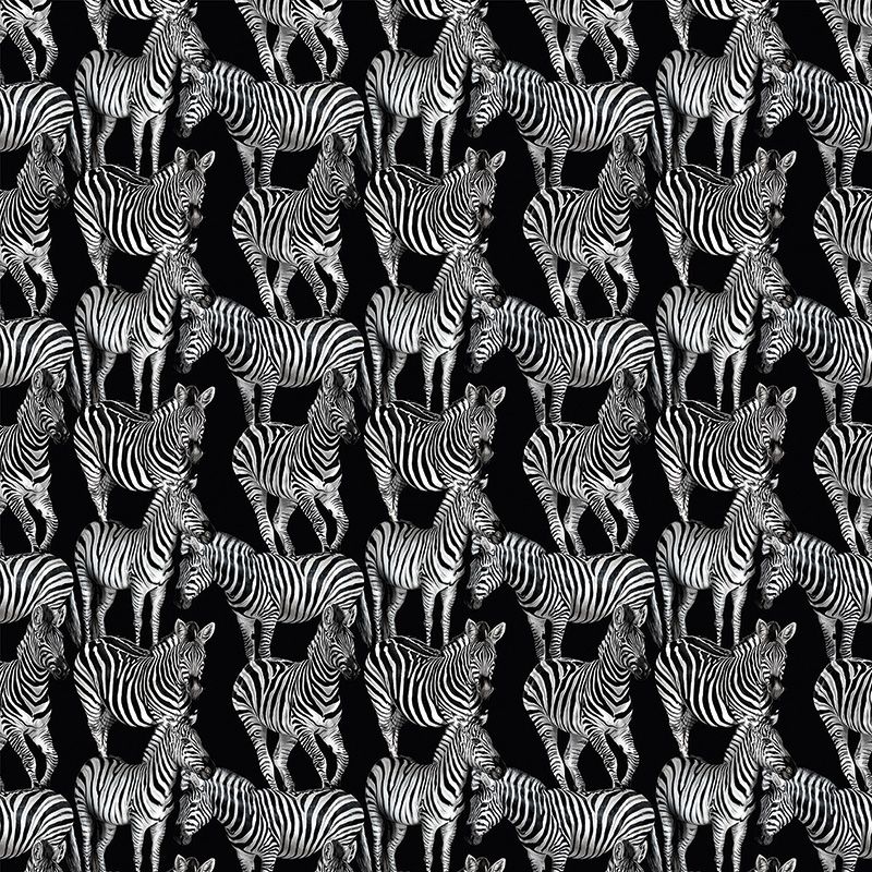 Флизелиновые фотообои Dolce&Gabbana №1 30148DGJ