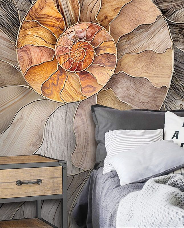 Графика Ракушка. Лофт. Современное искусство. ag0213