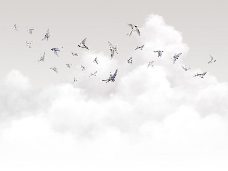 Флизелиновые фотообои Milassa Ambient vol.3 (Ambiplain 3) Am11 011