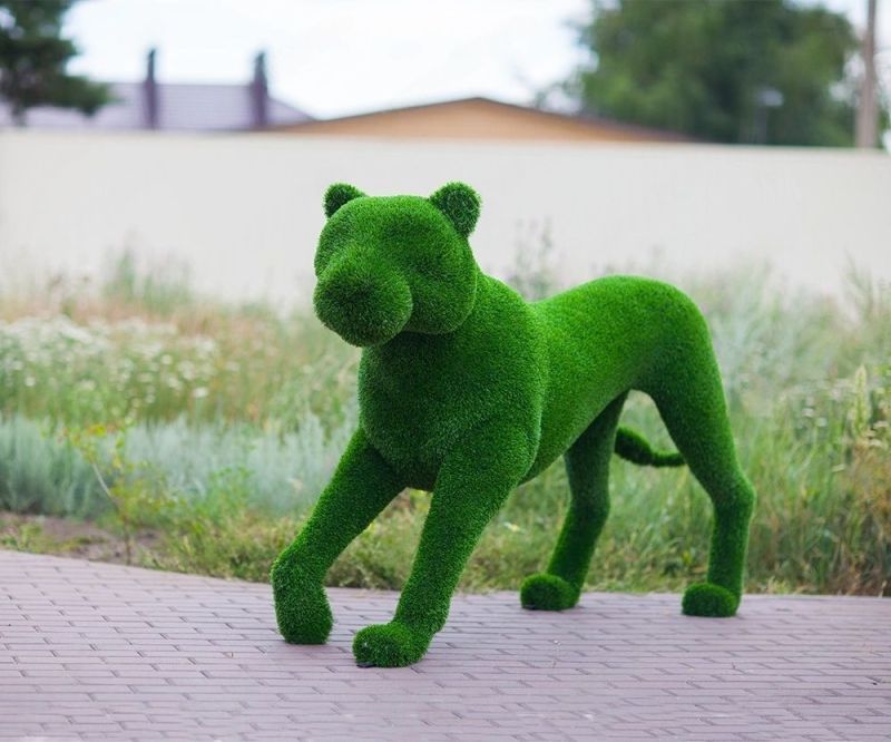Топиари Львица