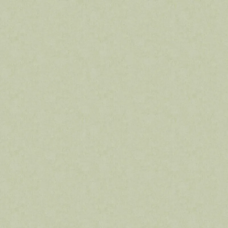 Флизелиновые обои Artsimple Holidays 1x10.05 арт.ARTS13005