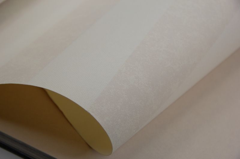 Флизелиновые обои Milassa Статус V EST2 001/2