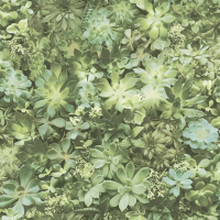 Флизелиновые обои Aura Evergreen 0.53x10.05 арт.7320e