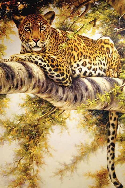 Обои DA-006 Loymina Illusion II