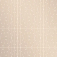 Флизелиновые обои Aura Plain Simple Useful 0.53x10.05 арт.TC25214
