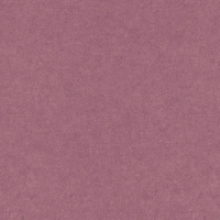 Виниловые обои на флизелиновой основе Erismann Gentle 1.06x10.05 арт.ER12207-06