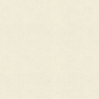Rasch Gentle Elegance 1.06x10.05 арт.959659