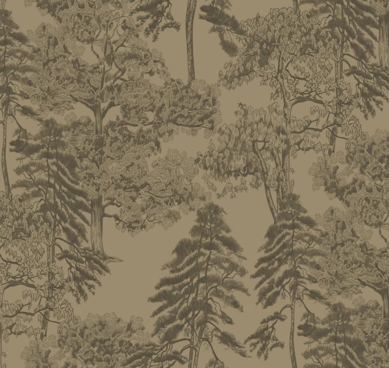 Флизелиновые обои Milassa Ambient vol.4 (Ambiplain 4) Am5 005/1 для стен