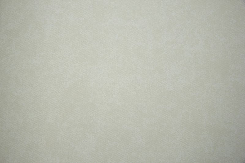 Флизелиновые обои Loymina Shade vol. II SDR5 001/1 метровые