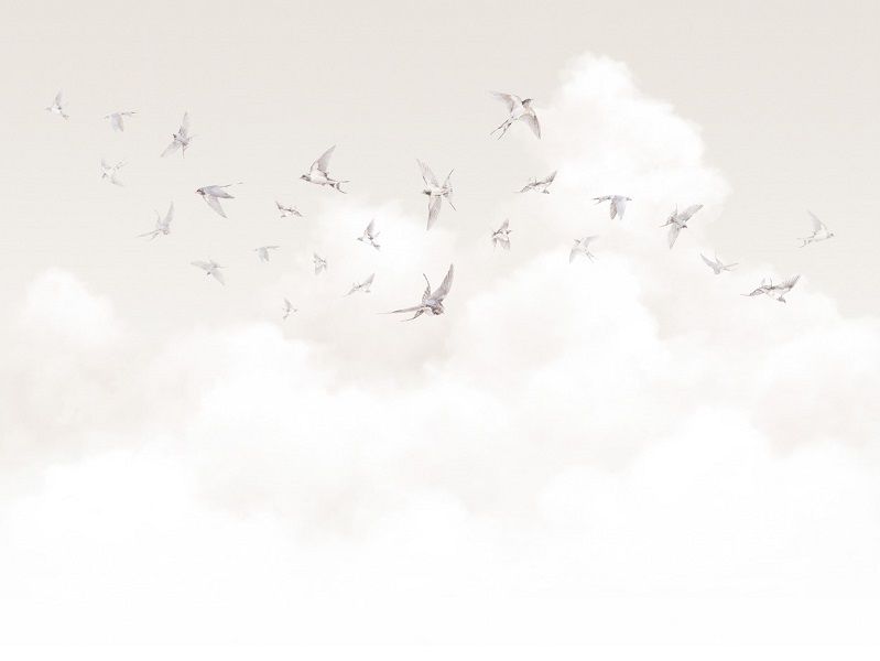 Флизелиновые фотообои Milassa Ambient vol.3 (Ambiplain 3) Am11 001