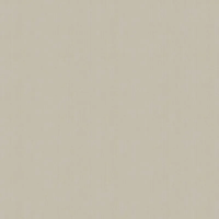 Флизелиновые обои Artsimple Mozart 1x10.05 арт.ARTS4002