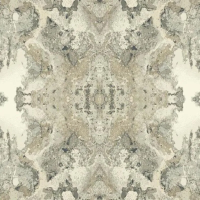 Флизелиновые обои York Candice Olson Botanical Dreams 0.68x8.2 арт.NA0593