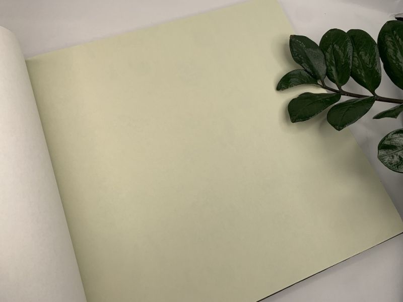 Флизелиновые обои Milassa Bon Voyage AM3 005 для стен