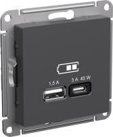 Зарядное устройство USB Schneider, USB-A + USB-C, 45Вт (Базальт)