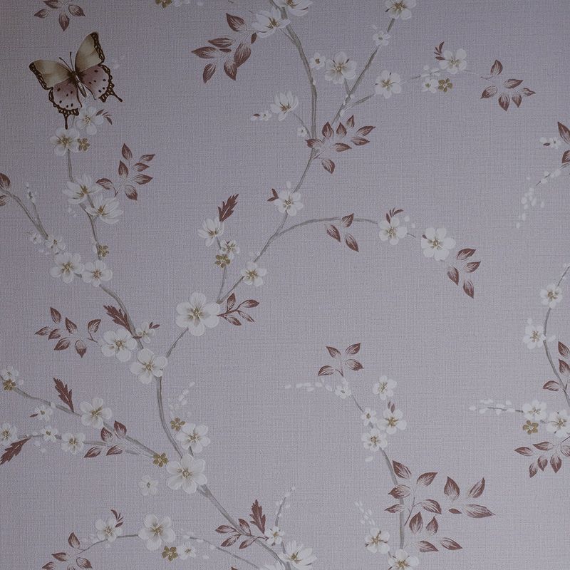 54460-4 Andrea Rossi Spectrum Box 1,06 x 10,05