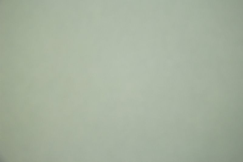 Флизелиновые обои Loymina Русская Классика Ru10 005 метровые