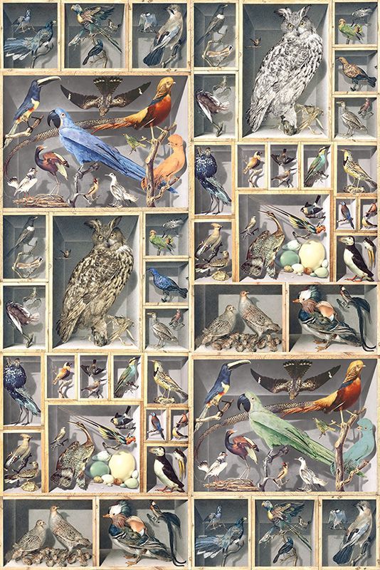 Обои DC-049 Loymina Illusion II