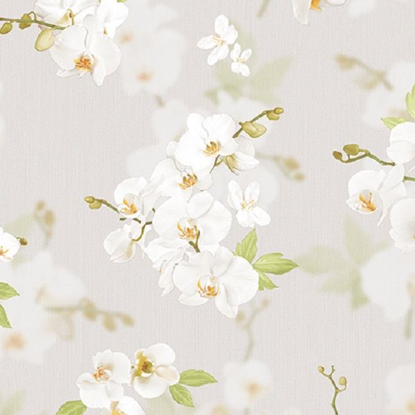 54342-3 Andrea Rossi Stromboli 1,06 x 10,05