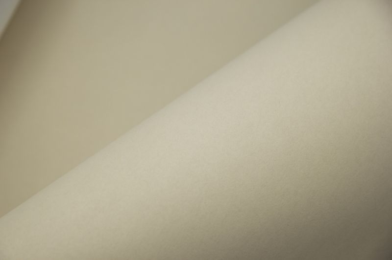 Флизелиновые обои Loymina Русская Классика Ru10 004 метровые