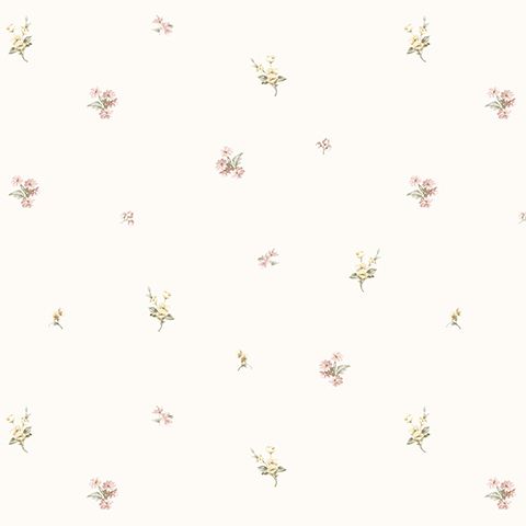 54321-3 Andrea Rossi Nisida 1,06 х 10,05