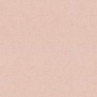 Виниловые обои на флизелиновой основе Erismann Gentle 1.06x10.05 арт.ER12207-23