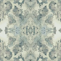 Бумажные обои на бумажной основе York Candice Olson Botanical Dreams 0.68x8.2 арт.DN3719