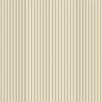 Виниловые обои на бумажной основе Aura Stripes & Damasks 0.53x10 арт.141-044-41
