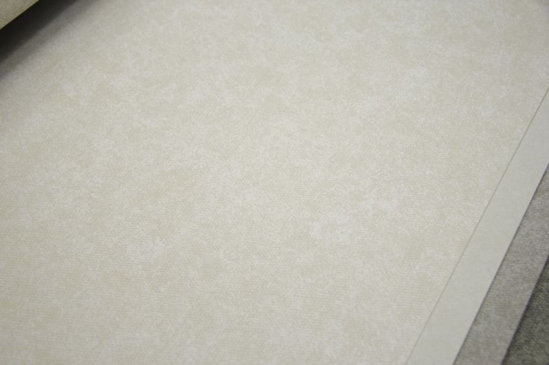 Флизелиновые обои Loymina Shade vol. II SDR5 002/2 метровые