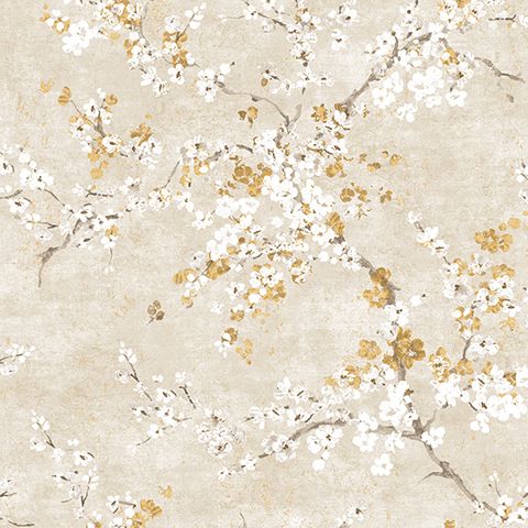 54320-2 Andrea Rossi Nisida 1,06 х 10,05