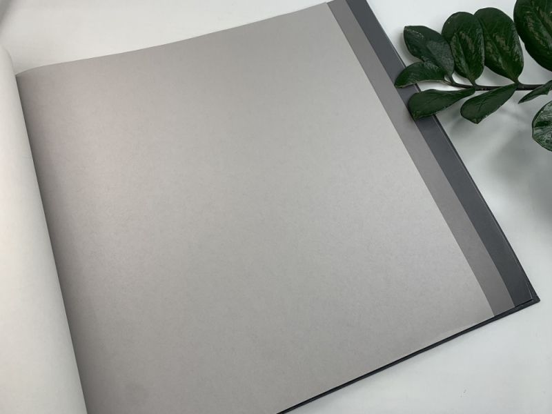 Флизелиновые обои Milassa Ambient vol.3 (Ambiplain 3) Am9 011/2 для спальни