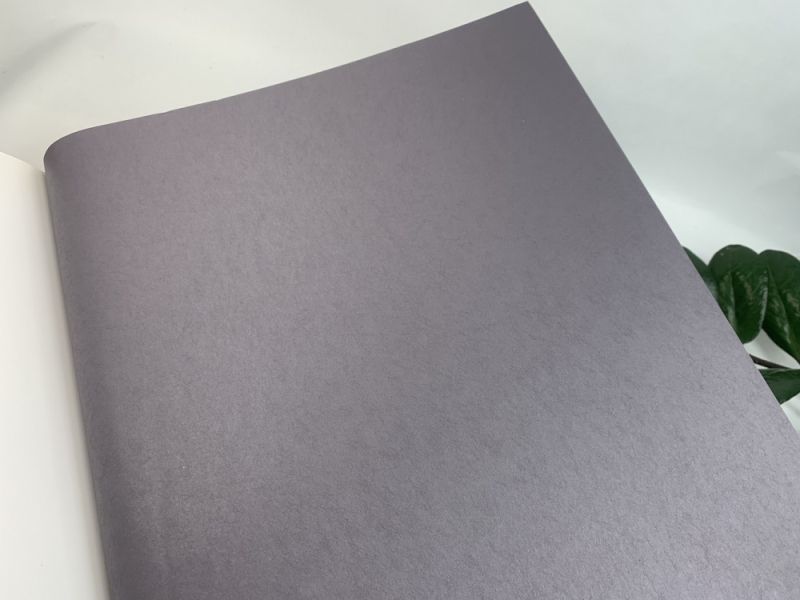 Флизелиновые обои Milassa Ambient vol.3 (Ambiplain 3) Am9 022/1 для спальни