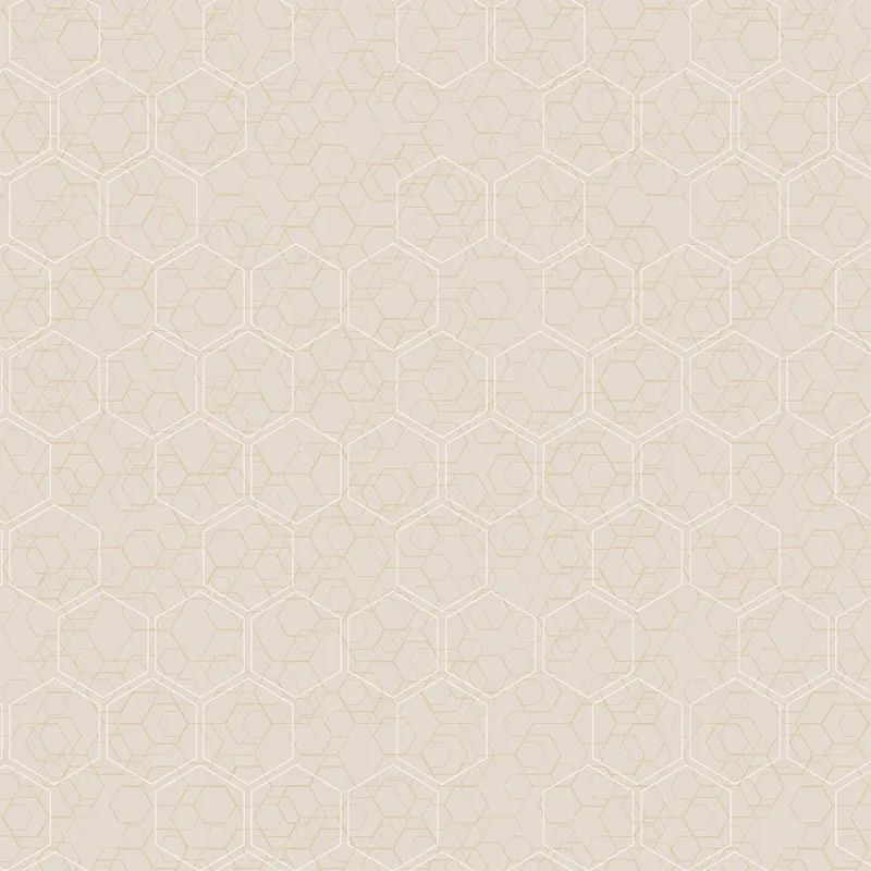 Флизелиновые обои Loymina Liberty 1x10.05 арт.LIB1001