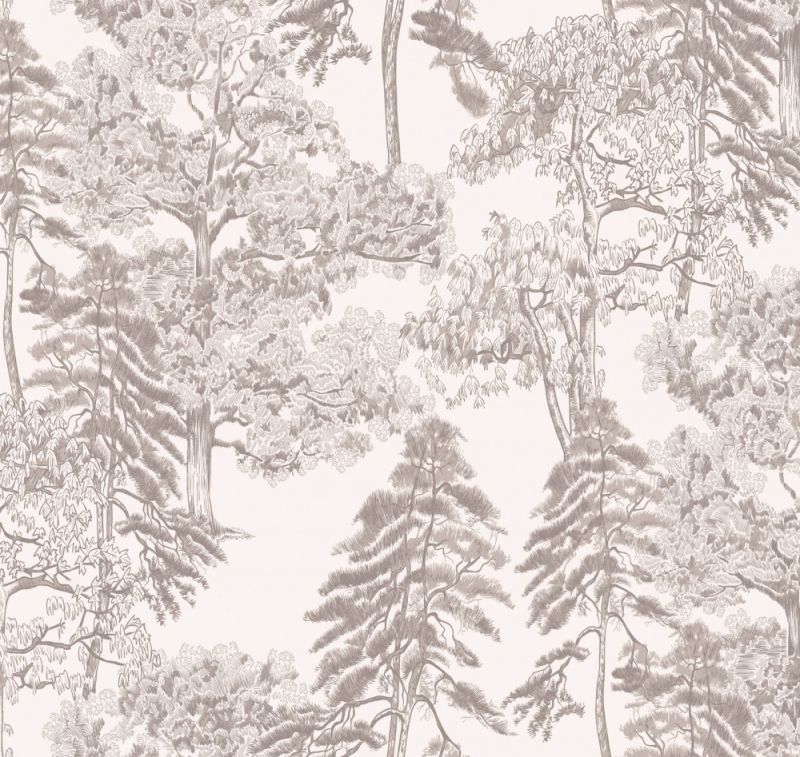 Флизелиновые обои Milassa Ambient vol.4 (Ambiplain 4) Am5 001/1 для стен