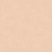 Флизелиновые обои Loymina Terra 1x10.05 арт.TER3003/1