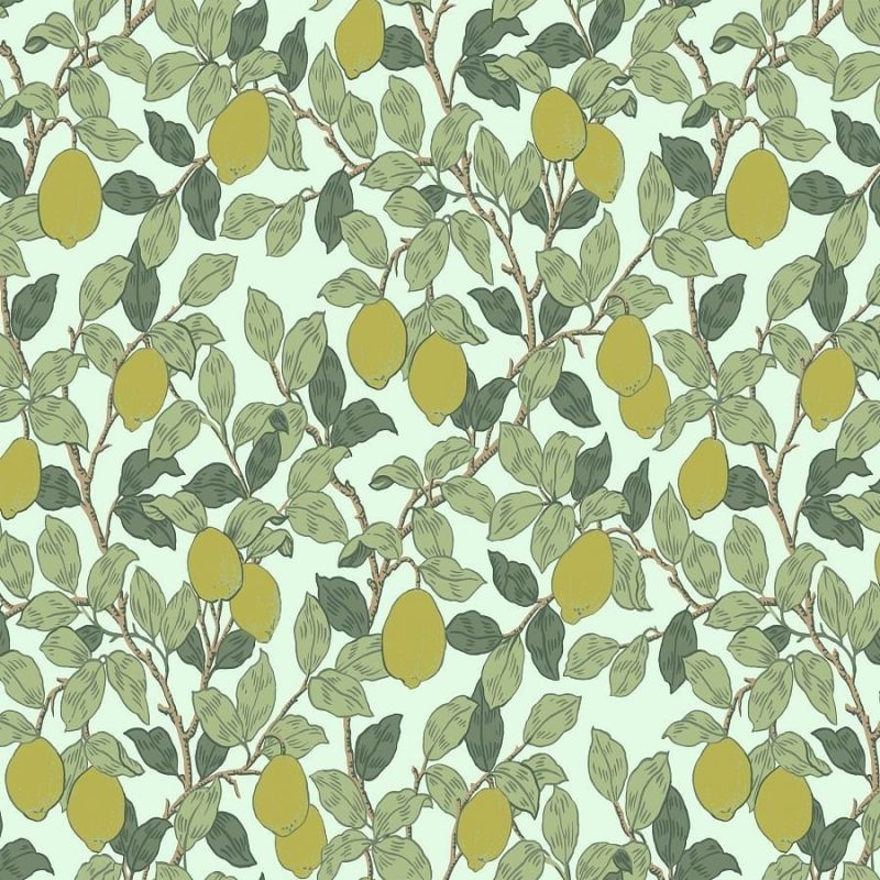 Флизелиновые обои Loymina Equator QTR3 006 для спальни