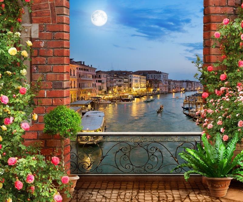 Фреска Современный Графический Дизайн 44032