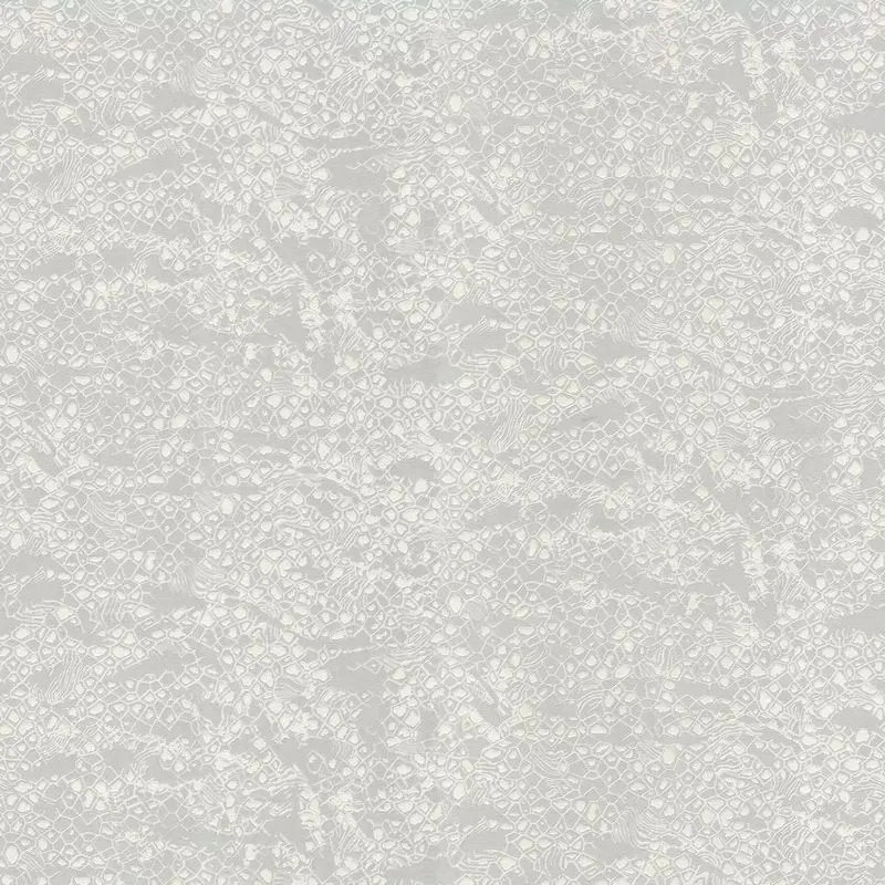 Виниловые обои на флизелиновой основе Emiliana Parati (Decori) Roberto Cavalli 8 1.06x10.05 арт.RC19034 Виниловые обои на флизелиновой основе Emiliana Parati (Decori) Roberto Cavalli 8 1.06x10.05 арт.RC19034