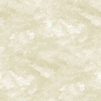 Флизелиновые обои Aura Equinox 0.53x10.05 арт.FD25712