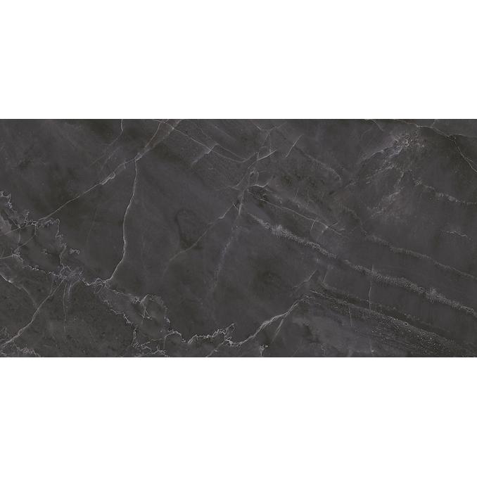 Олимпус  чёрный 25x50