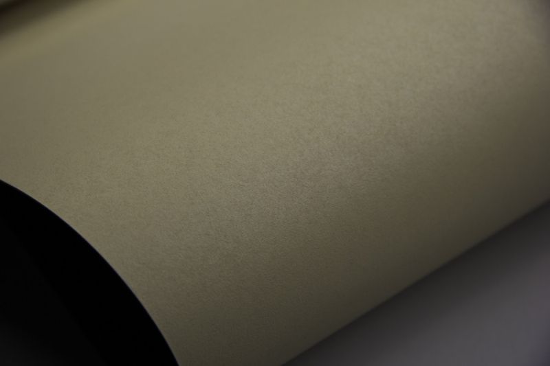 Флизелиновые обои Loymina Lotus Universe LOT2 207 метровые