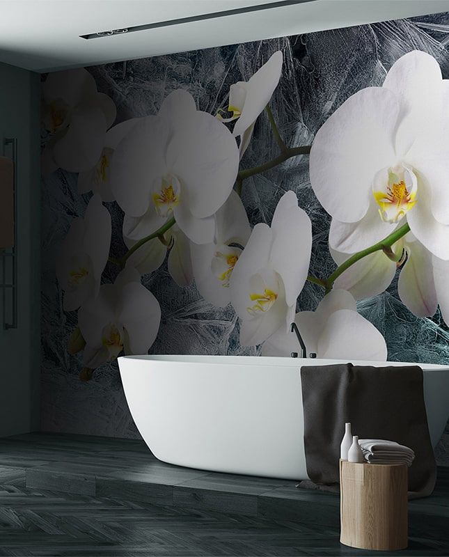 Графика Орхидеи на льду. Современное искусство. ag0344