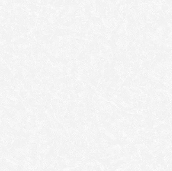 90114-1 Roberto Borzaggi King 1,06 x 10,05