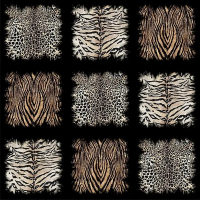 Виниловые обои на флизелиновой основе Emiliana Parati (Decori) Roberto Cavalli 8 3x3 арт.RC19106