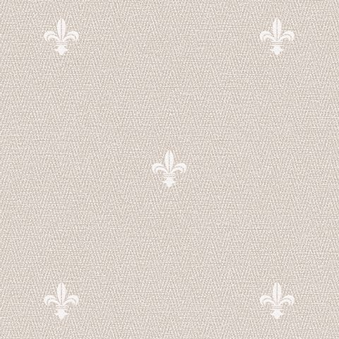 Виниловые обои Andrea Rossi Spectrum Just 54477-5 1.06