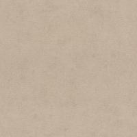 Виниловые обои на флизелиновой основе Rasch Natural Colors 0.53x10.05 арт.408164
