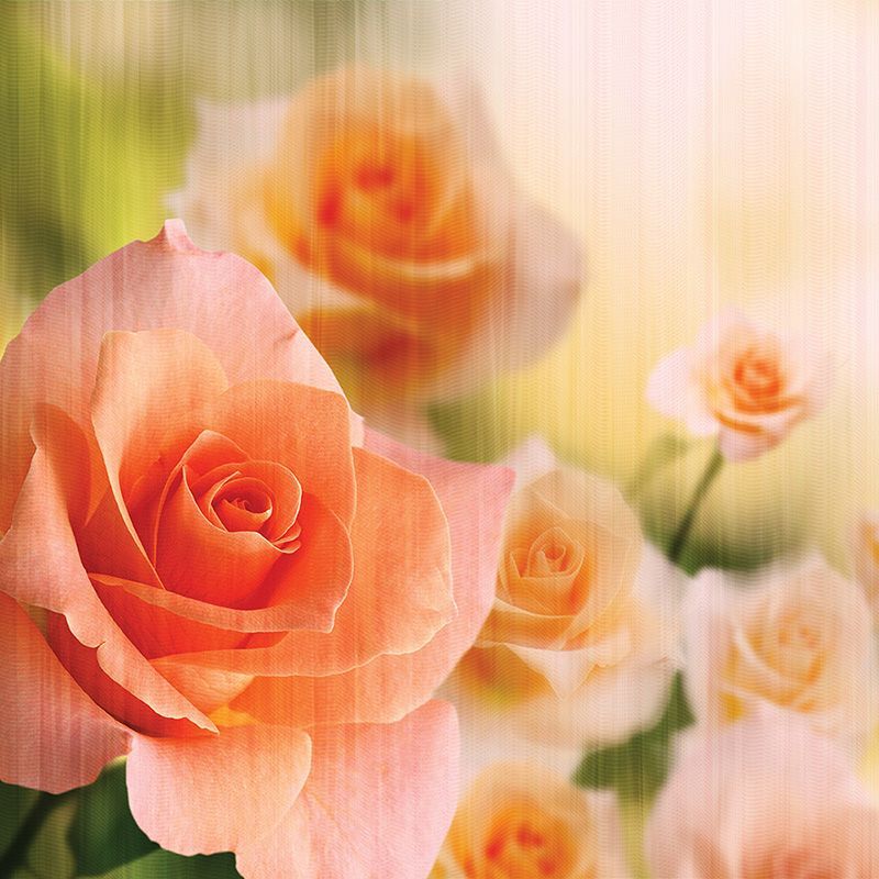 Обои DFL-002 Loymina Illusion II